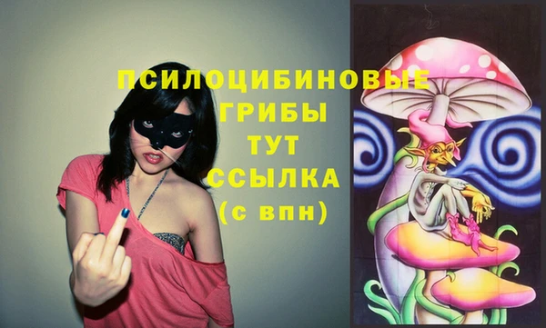 гашик Армянск
