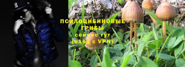 Альфа ПВП Арсеньев